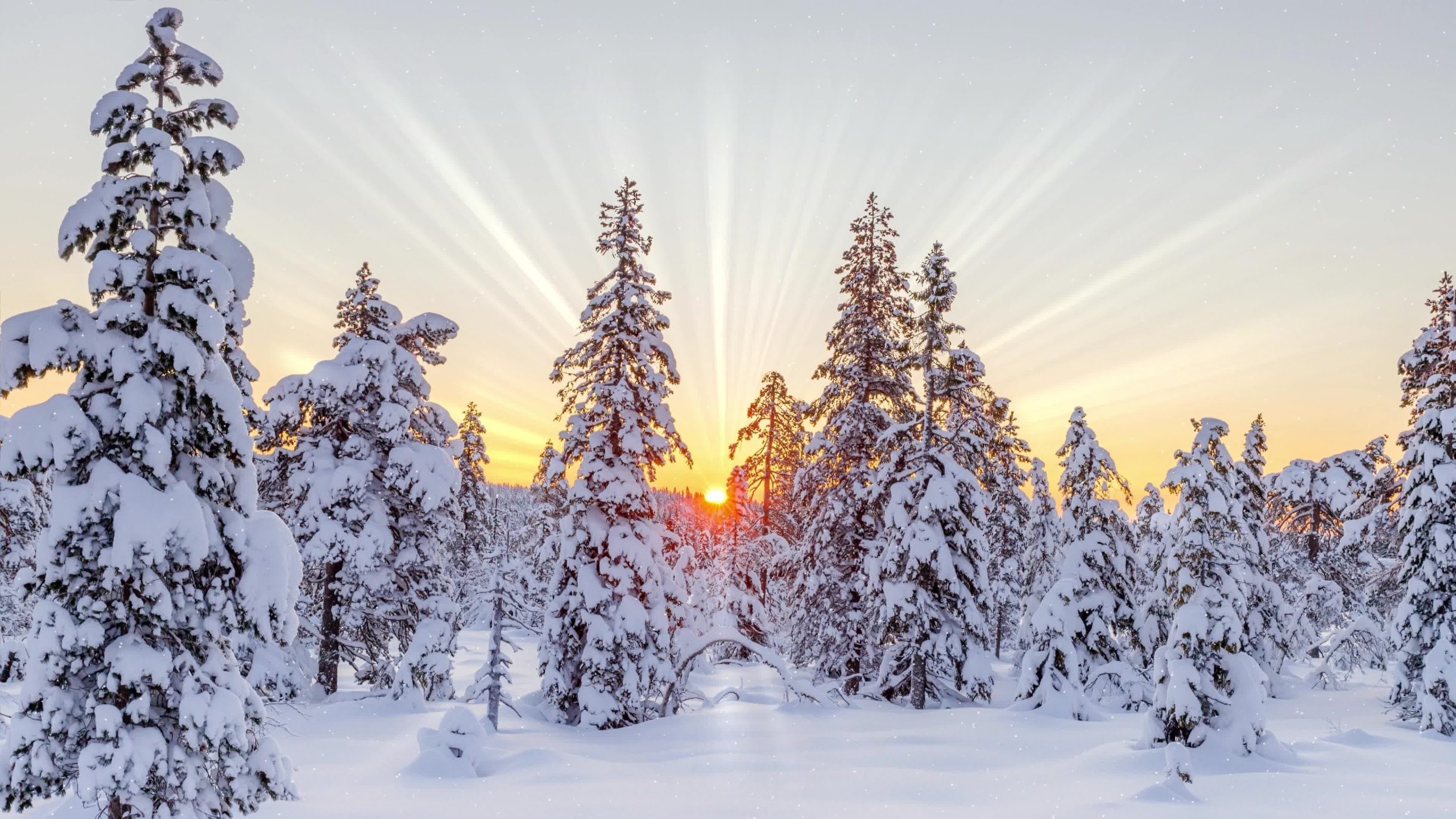 幻灯片-百变十全资源站