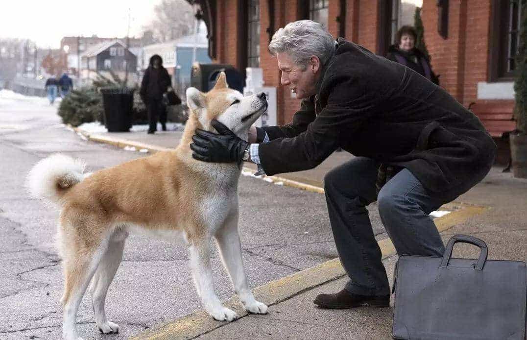 【夸克网盘】忠犬八公的故事.Hachiko.A.Dog’s.Story.2010.BluRay.1080p.DTS.x264-CHD-百变十全资源站---打造史上资源最全的网站