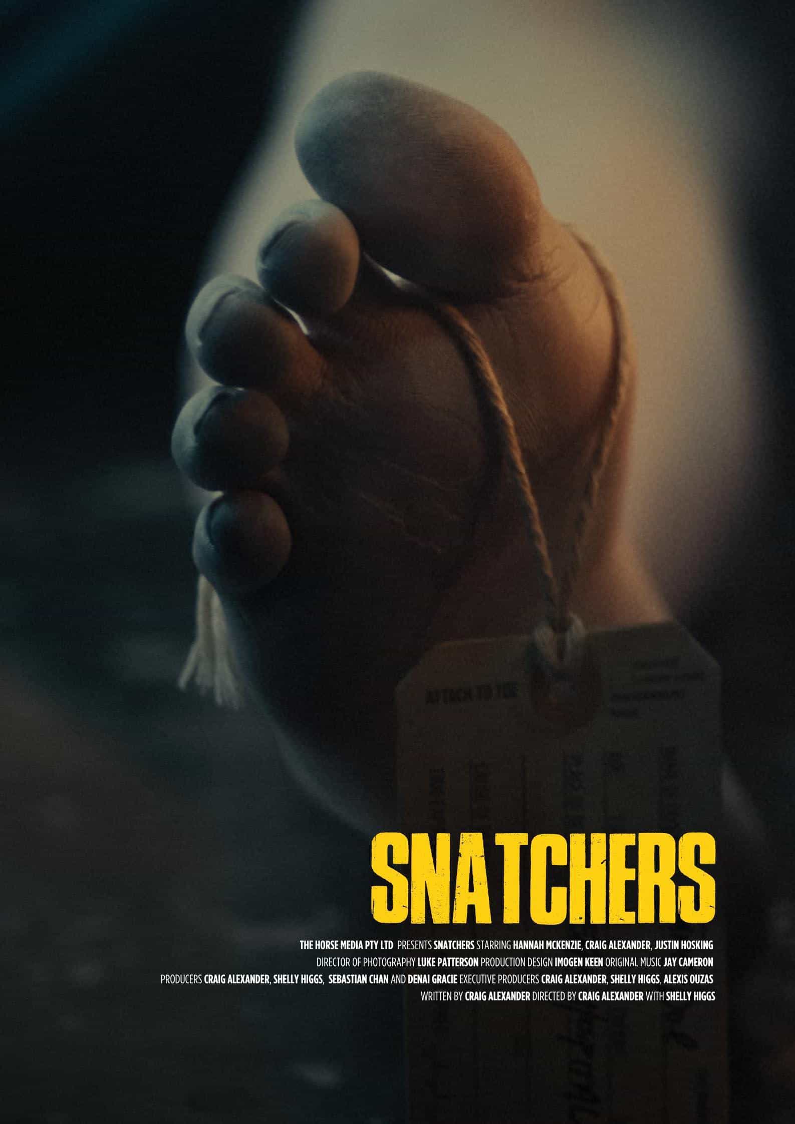 【夸克网盘】江洋大盗 Snatchers (2025)-百变十全资源站---打造史上资源最全的网站
