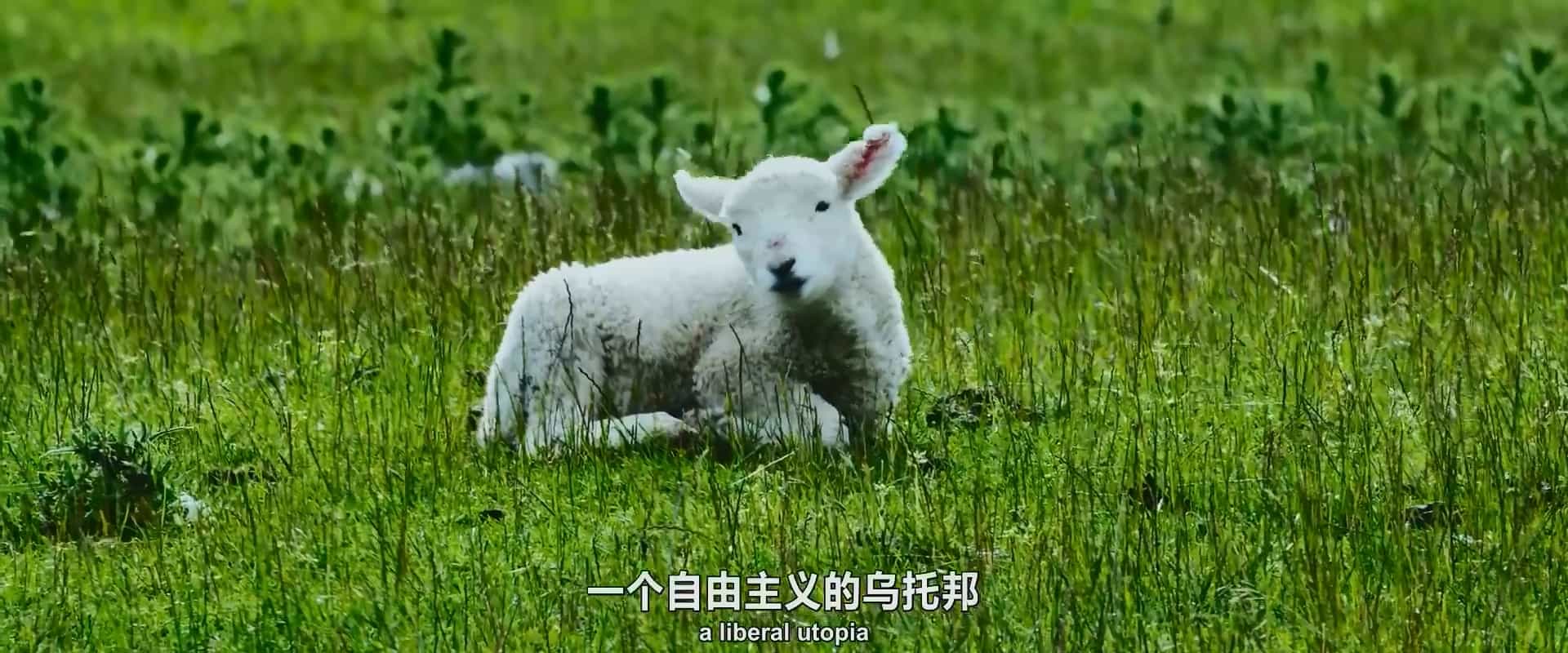 【夸克网盘】解药（2026）内嵌简英双语字幕 1080P-百变十全资源站---打造史上资源最全的网站